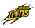 LONDON LIONS